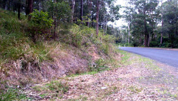 section of embankment where Faye and Alana encountered a Yowie